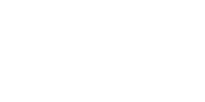 bigcommerce partner